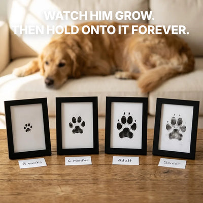 The Paw Print Kit