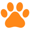  Create Lasting Paw Memories